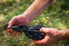 Load image into Gallery viewer, dooBAGS β 100 Dog Waste Bags | 100% Canadian & Extra Strong